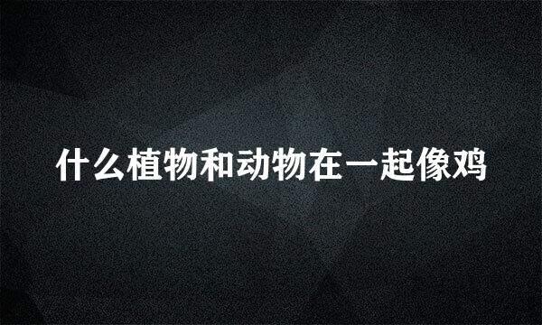 什么植物和动物在一起像鸡