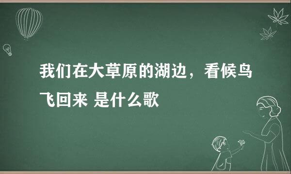 我们在大草原的湖边，看候鸟飞回来 是什么歌