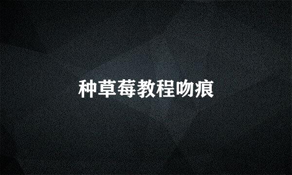 种草莓教程吻痕