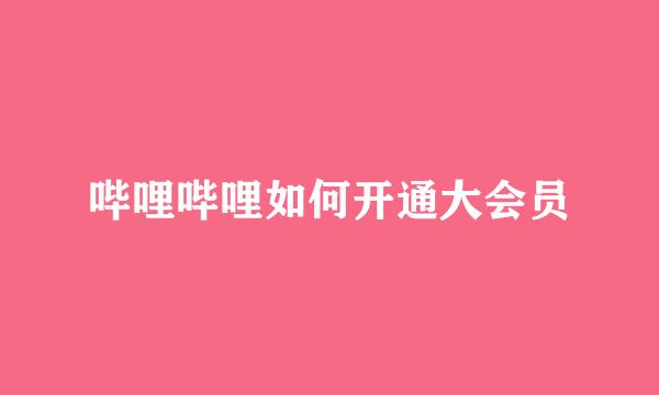 哔哩哔哩如何开通大会员