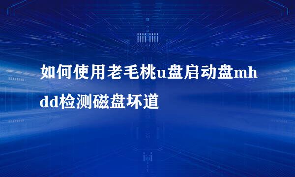 如何使用老毛桃u盘启动盘mhdd检测磁盘坏道