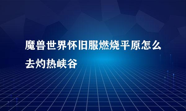 魔兽世界怀旧服燃烧平原怎么去灼热峡谷