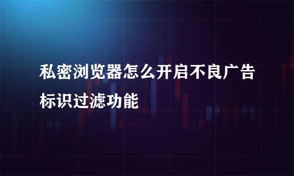 私密浏览器怎么开启不良广告标识过滤功能