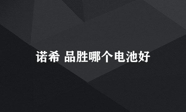 诺希 品胜哪个电池好