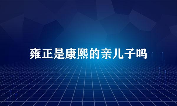 雍正是康熙的亲儿子吗