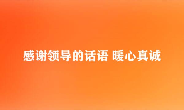 感谢领导的话语 暖心真诚