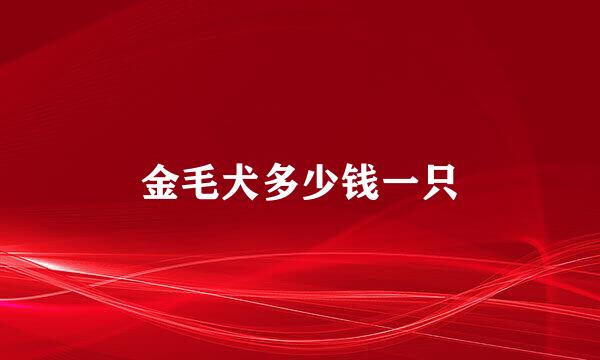 金毛犬多少钱一只