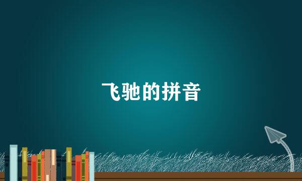 飞驰的拼音