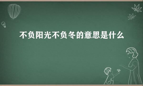 不负阳光不负冬的意思是什么
