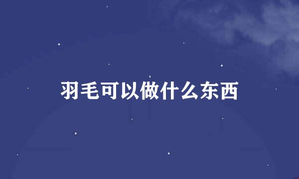 羽毛可以做什么东西