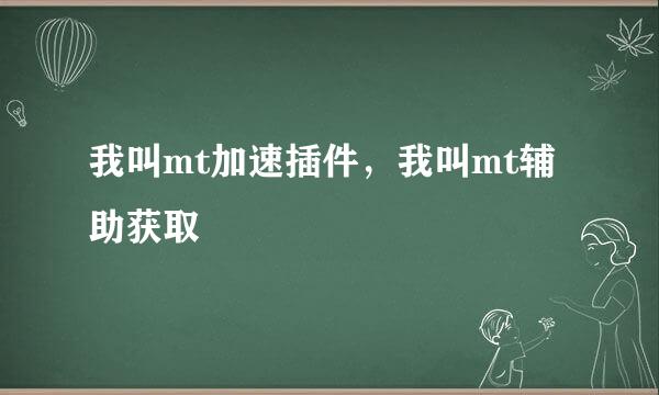 我叫mt加速插件，我叫mt辅助获取