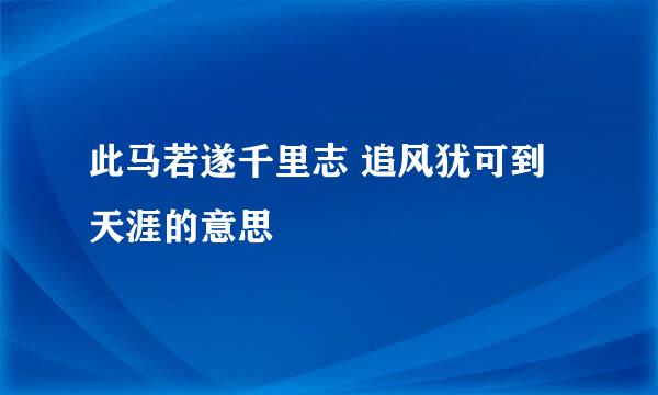 此马若遂千里志 追风犹可到天涯的意思