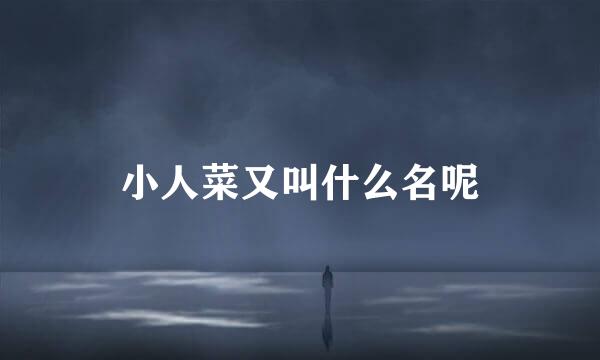 小人菜又叫什么名呢