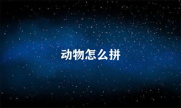 动物怎么拼