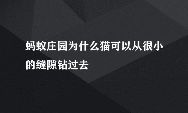 蚂蚁庄园为什么猫可以从很小的缝隙钻过去