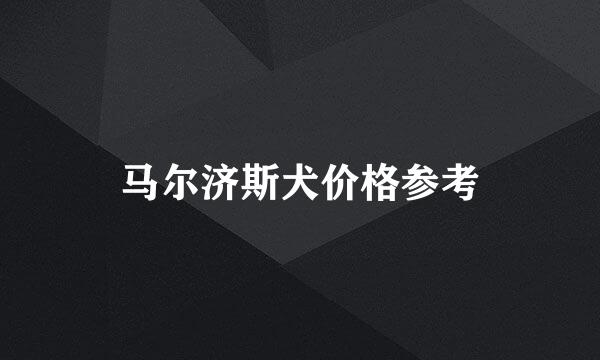 马尔济斯犬价格参考
