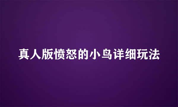 真人版愤怒的小鸟详细玩法