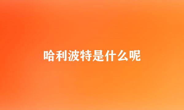 哈利波特是什么呢