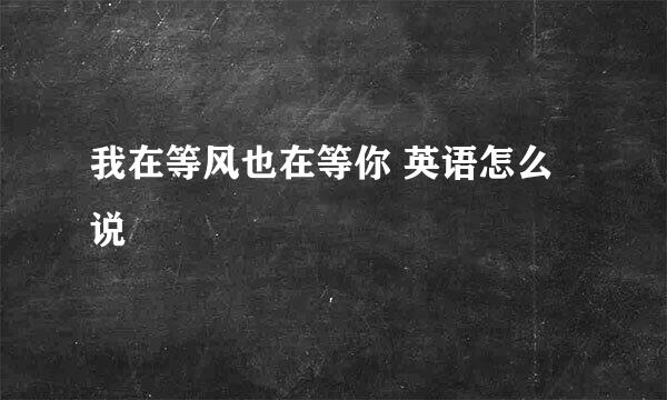 我在等风也在等你 英语怎么说