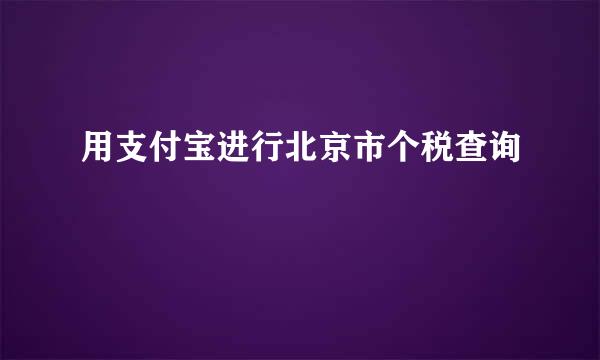 用支付宝进行北京市个税查询