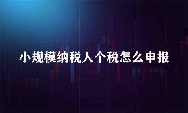 小规模纳税人个税怎么申报