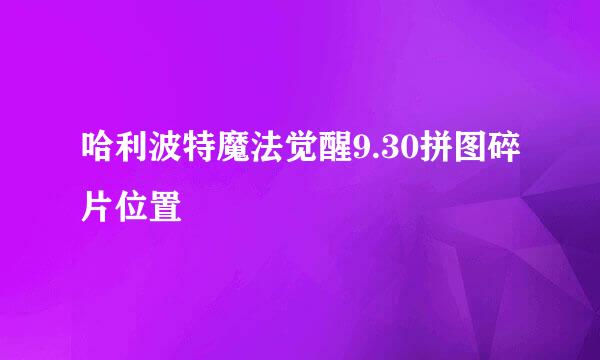 哈利波特魔法觉醒9.30拼图碎片位置