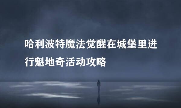 哈利波特魔法觉醒在城堡里进行魁地奇活动攻略