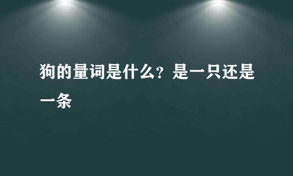 狗的量词是什么？是一只还是一条