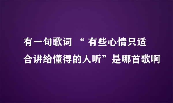 有一句歌词 “ 有些心情只适合讲给懂得的人听”是哪首歌啊