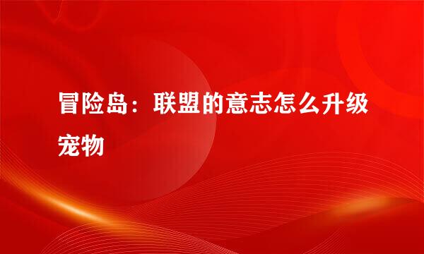 冒险岛：联盟的意志怎么升级宠物