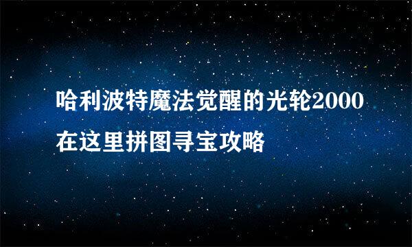 哈利波特魔法觉醒的光轮2000在这里拼图寻宝攻略