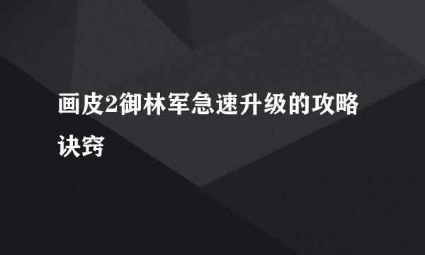 画皮2御林军急速升级的攻略诀窍