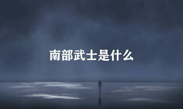 南部武士是什么