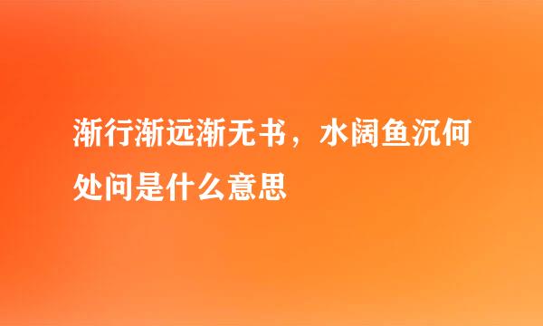 渐行渐远渐无书，水阔鱼沉何处问是什么意思