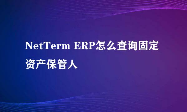 NetTerm ERP怎么查询固定资产保管人