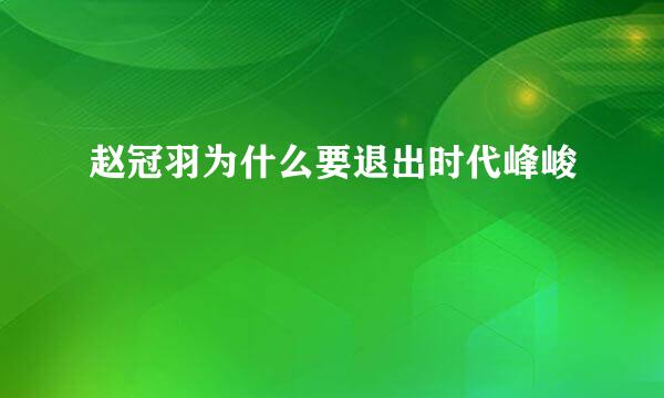 赵冠羽为什么要退出时代峰峻