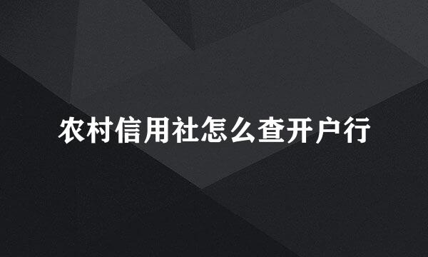 农村信用社怎么查开户行