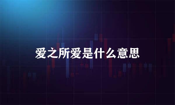 爱之所爱是什么意思