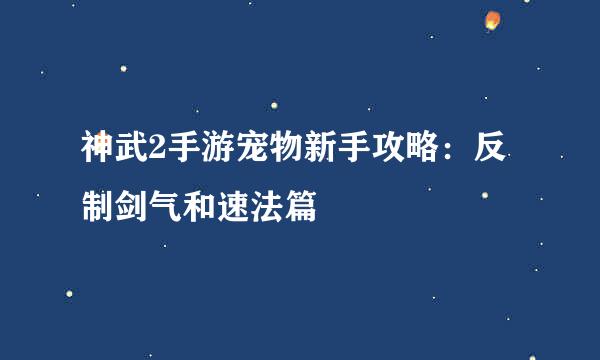 神武2手游宠物新手攻略：反制剑气和速法篇