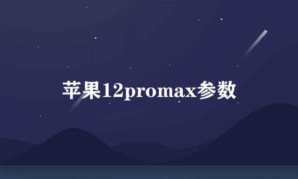 苹果12promax参数