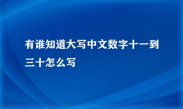 有谁知道大写中文数字十一到三十怎么写