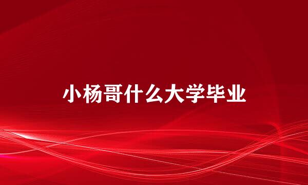 小杨哥什么大学毕业