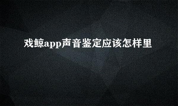 戏鲸app声音鉴定应该怎样里