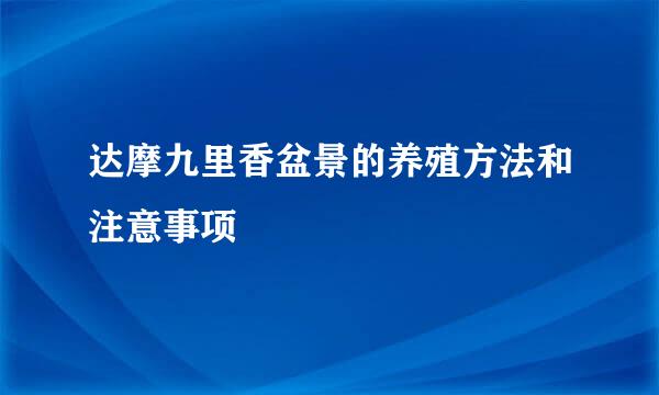 达摩九里香盆景的养殖方法和注意事项