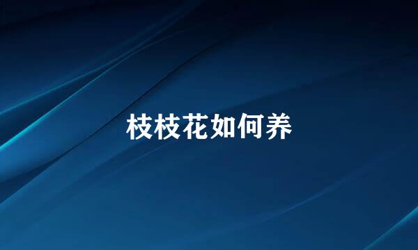 枝枝花如何养