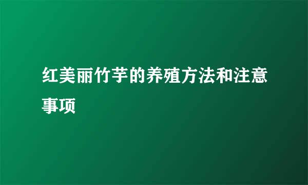 红美丽竹芋的养殖方法和注意事项