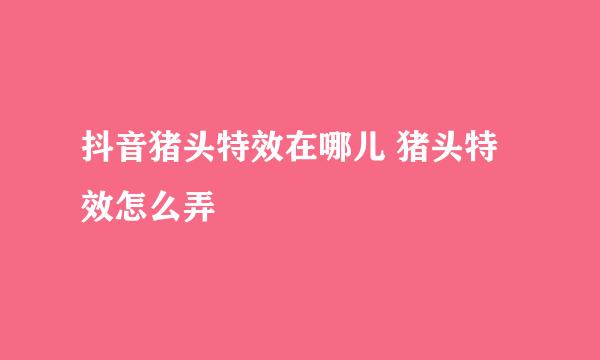 抖音猪头特效在哪儿 猪头特效怎么弄