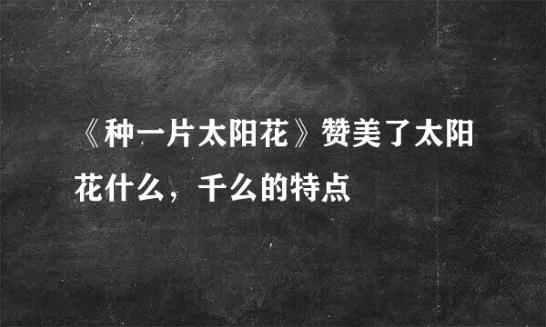 《种一片太阳花》赞美了太阳花什么，千么的特点