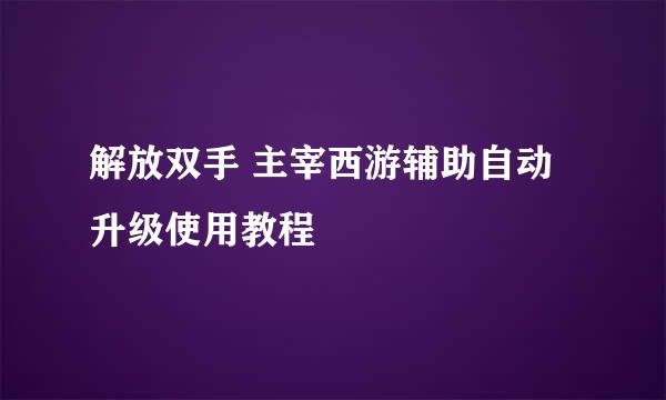 解放双手 主宰西游辅助自动升级使用教程