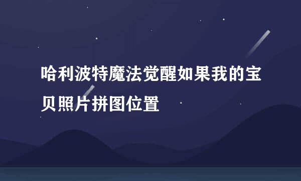 哈利波特魔法觉醒如果我的宝贝照片拼图位置